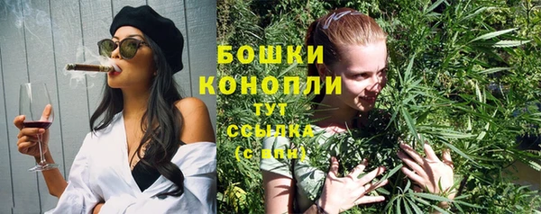 дурь Нестеровская