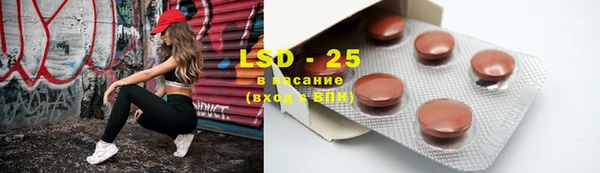 a pvp Гусев