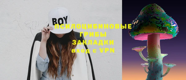 a pvp Гусев