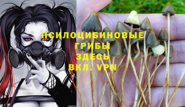 дурь Гусиноозёрск