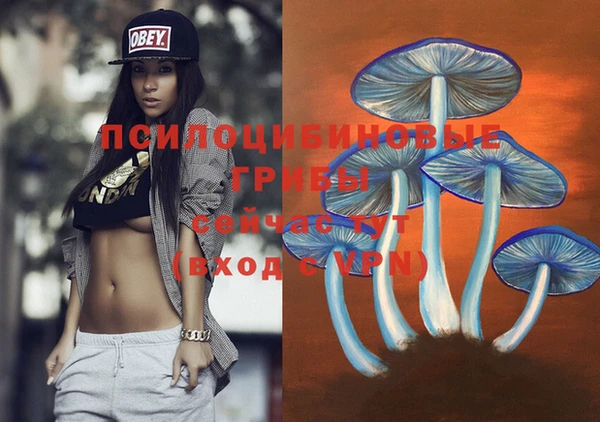 дурь Гусиноозёрск