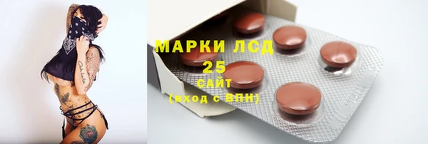 дурь Гусиноозёрск