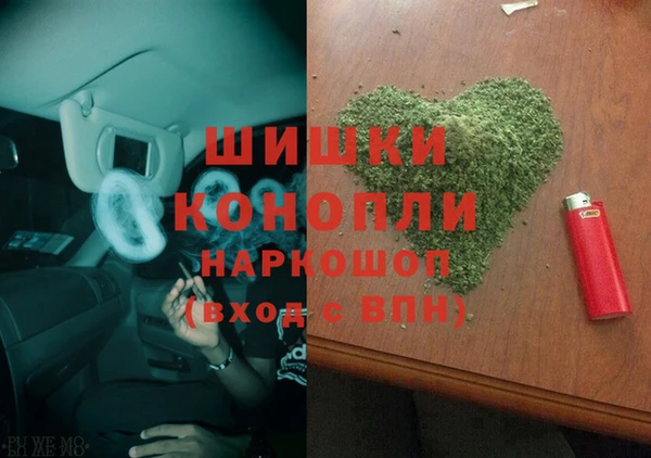 дурь Гусиноозёрск