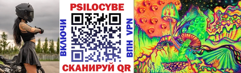 Галлюциногенные грибы Psilocybine cubensis  Купить  Новоузенск 